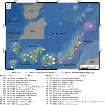 Distribution of Cetaceans in the Canary Islands (Northeast Atlantic Ocean): Implications for the Natura 2000 Network and Future Conservation Measures